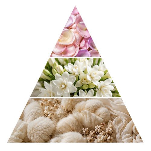 hums-al-bareya-wood-celeste pyramid image
